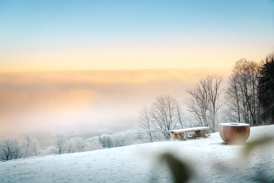 Snow-covered landscape with bare trees overlooking the winter surroundings.
