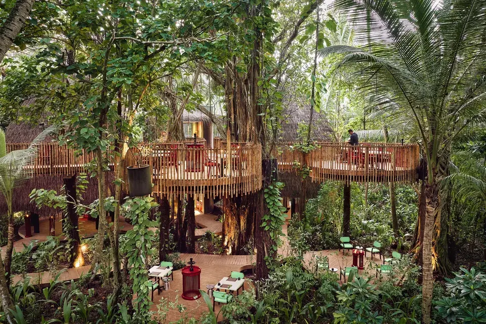Elevated wooden walkways and dining areas among the trees at Niyama Private Islands Maldives, surrounded by dense tropical vegetation.