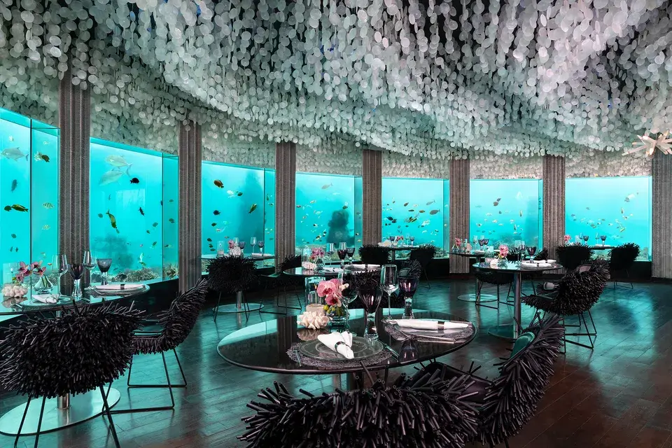 Underwater restaurant at Niyama Private Islands Maldives with set dining tables and large windows overlooking fish in the turquoise ocean.