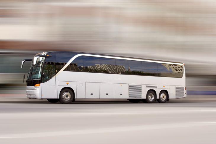 csm_Bus_8170149a48.jpg
