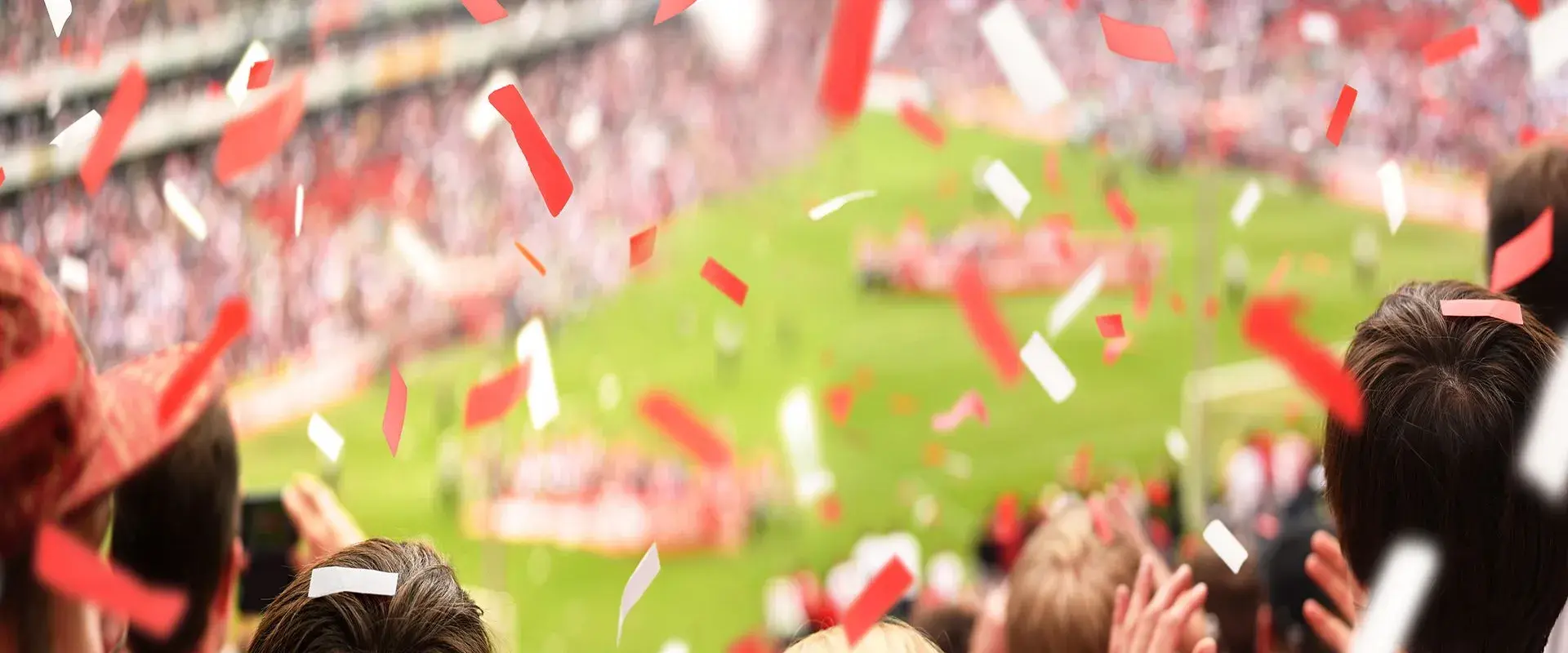 Fans im Stadion — Herobild der Consulting-Seite