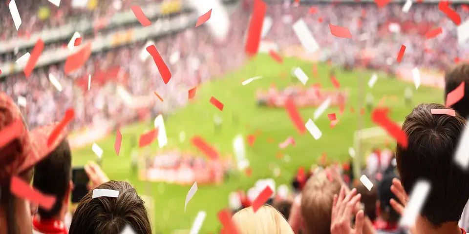 Fans im Stadion — Herobild der Consulting-Seite