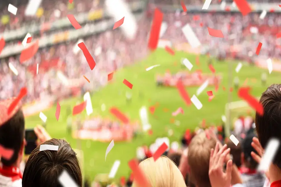 Fans im Stadion — Herobild der Consulting-Seite
